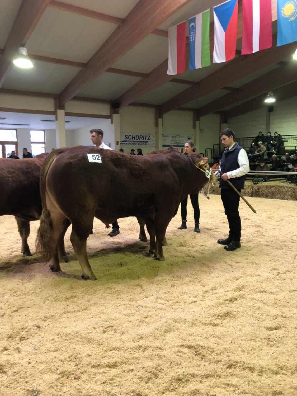 Bauer Zorn - Der Hofladen - Rinderzuchtkühe