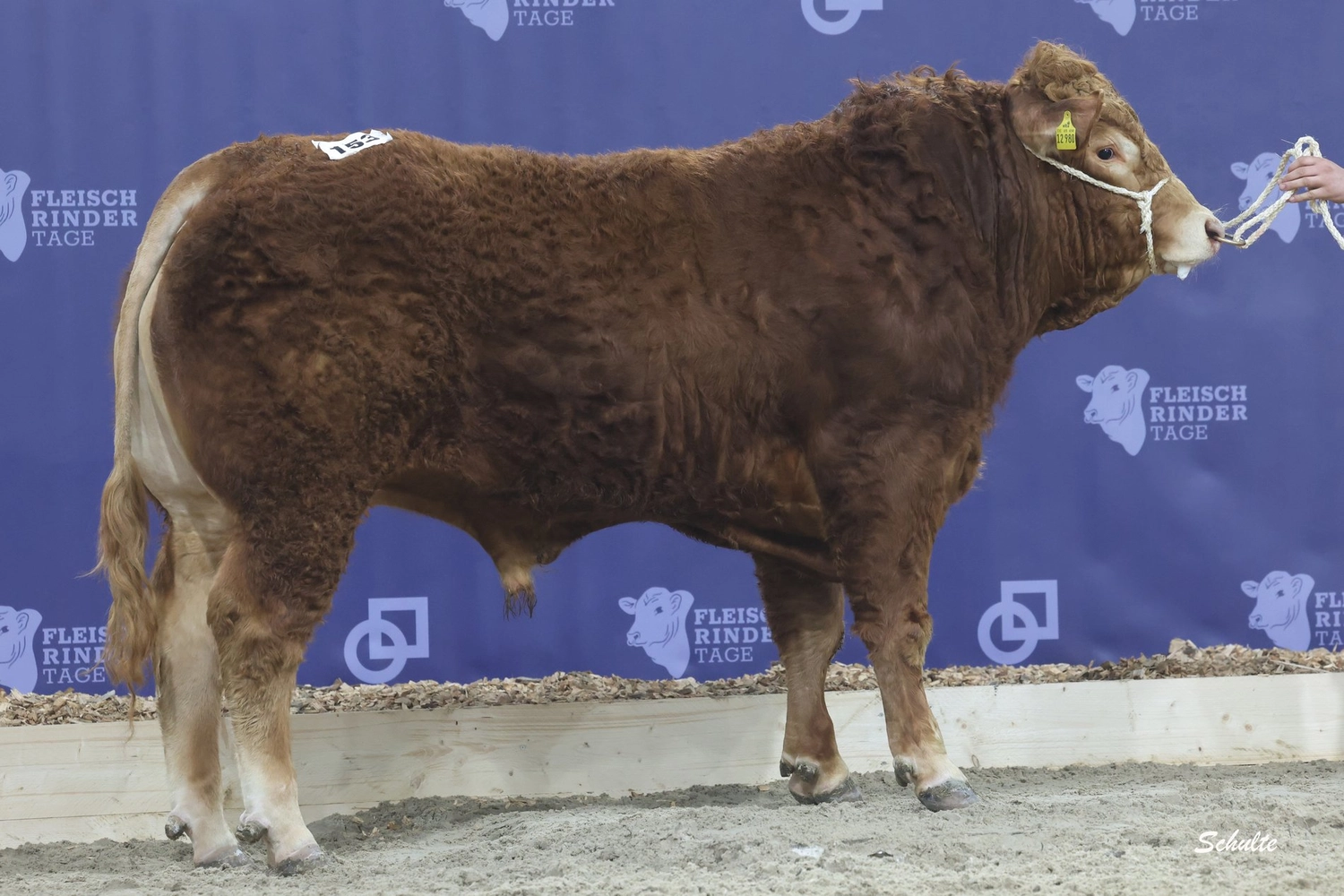 Bauer Zorn - Der Hofladen - Nahaufnahme beim Stapeln von trockenem Heu in der Scheune